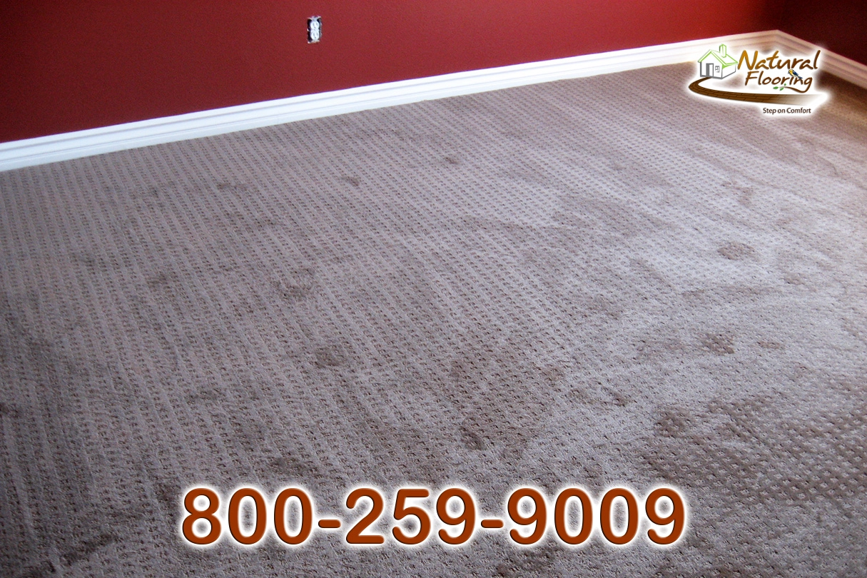 City Light Explorer Carpet