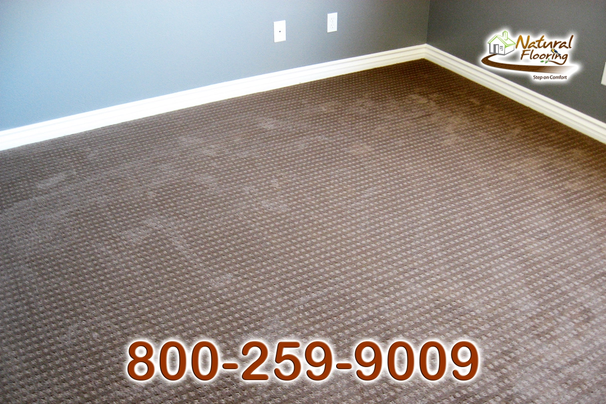 City Light Explorer Carpet