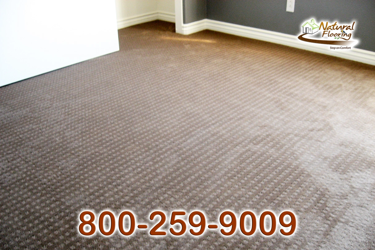 City Light Explorer Carpet