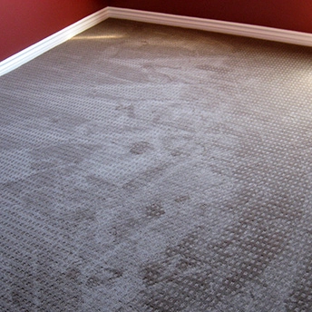 City Light Explorer Carpet Stairs Mohawk 3 415333