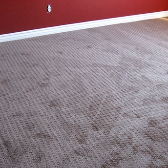 City Light Explorer Carpet Stairs Mohawk 4 743258