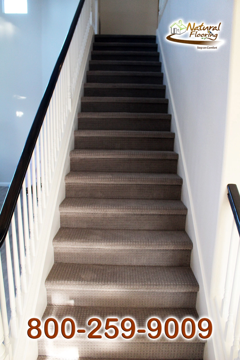Sedimentary Carpet Stairs