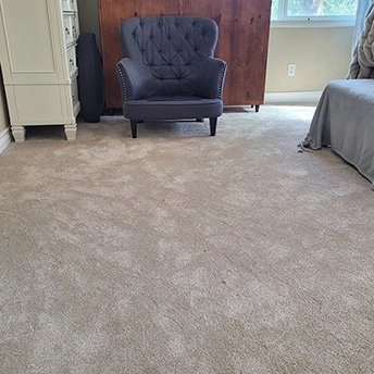 Clearwater Sunflower Carpet Dreamweaver 1 753514