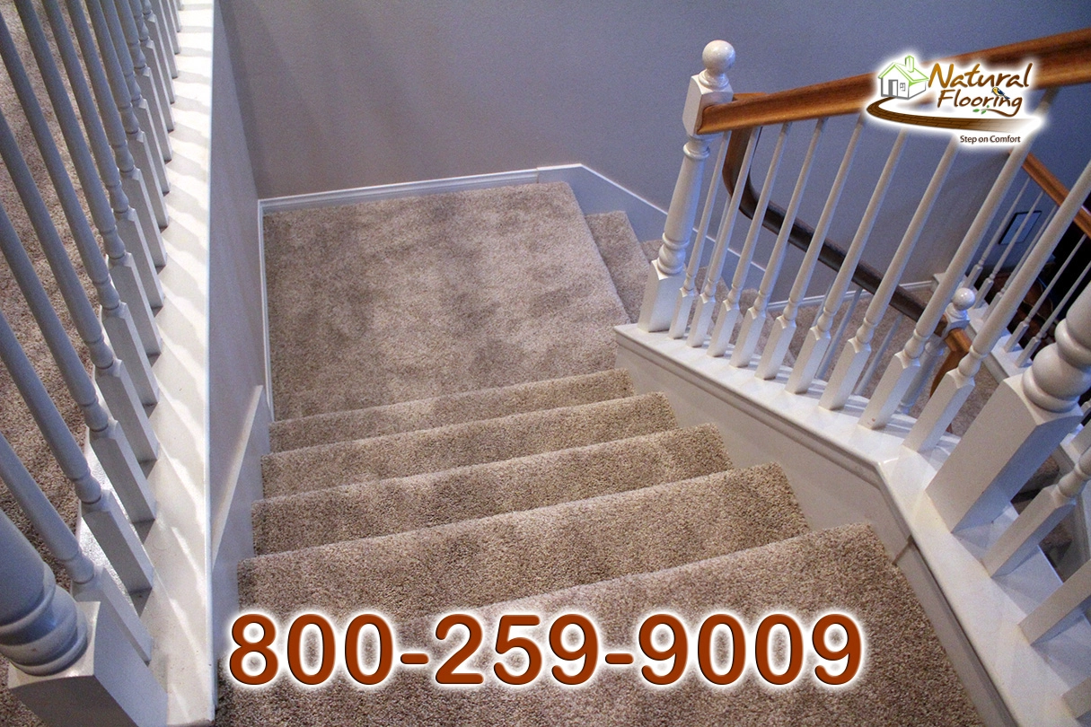 No Limit Ambiance Carpet