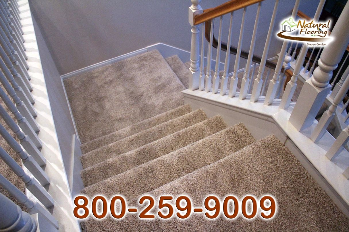 No Limit Ambiance Carpet