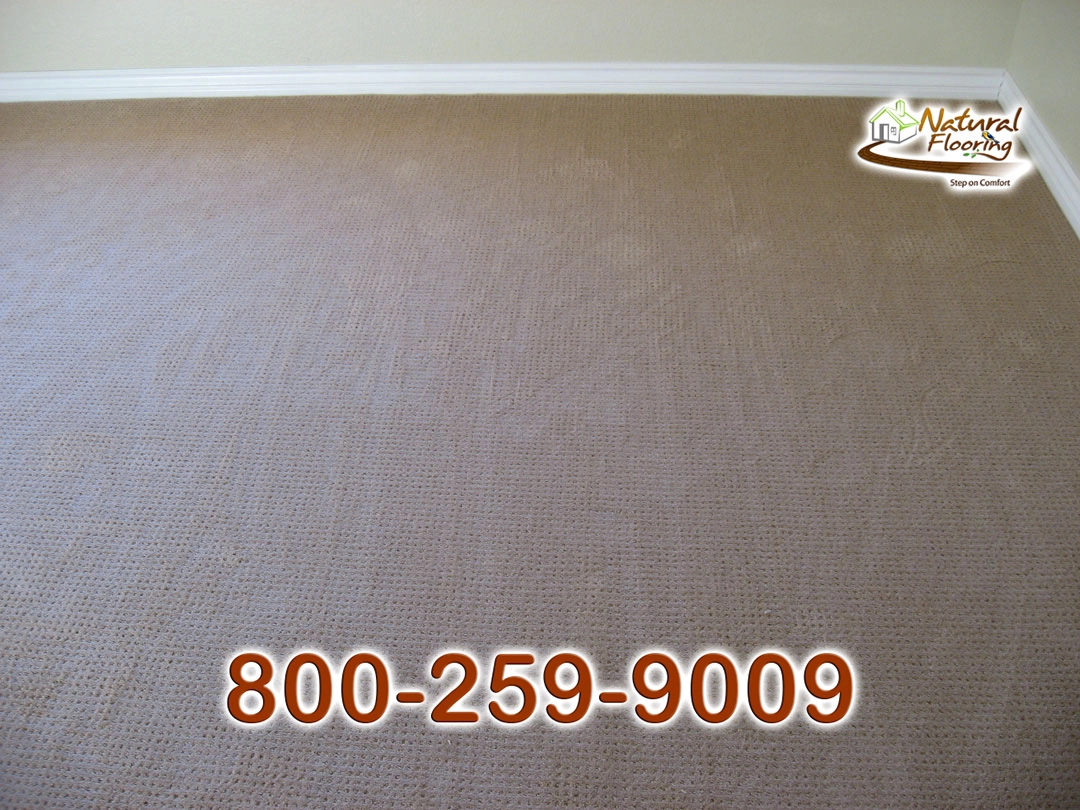 Endeavour Celestial Carpet