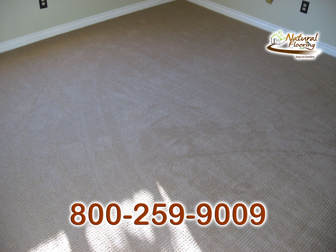 Endeavour Celestial Carpet