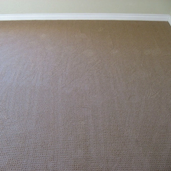 Endeavour Celestial Carpet Royalty 1 413326