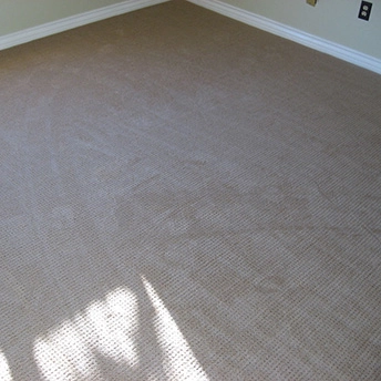 Endeavour Celestial Carpet Royalty 2