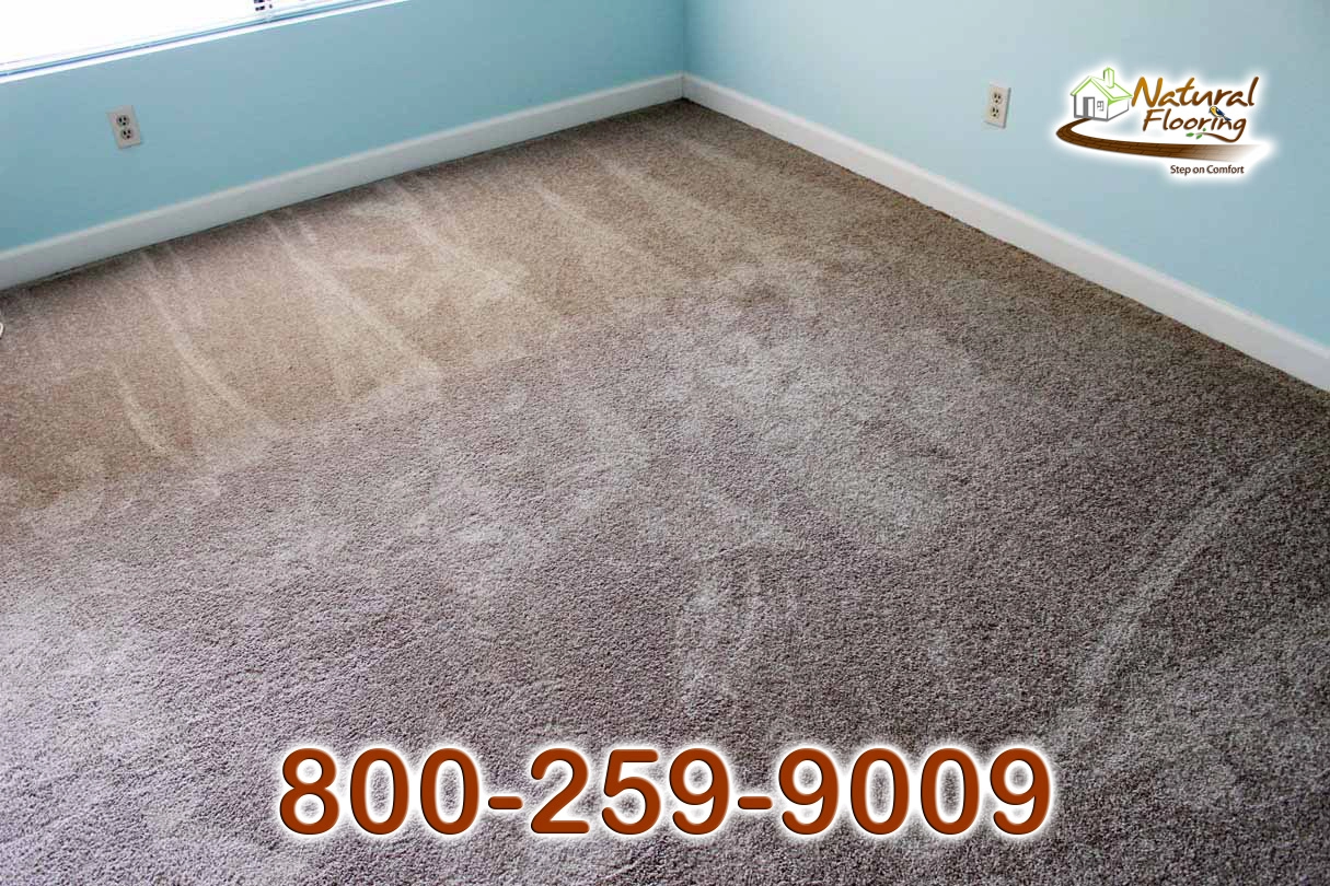 Field Choice Wild Dune Carpet