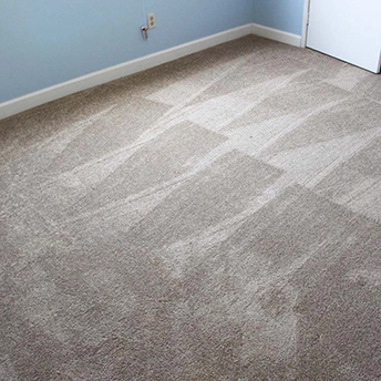 Field Choice Wild Dune Shaw 2