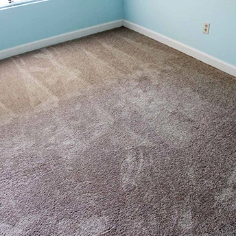 Field Choice Wild Dune Shaw 3