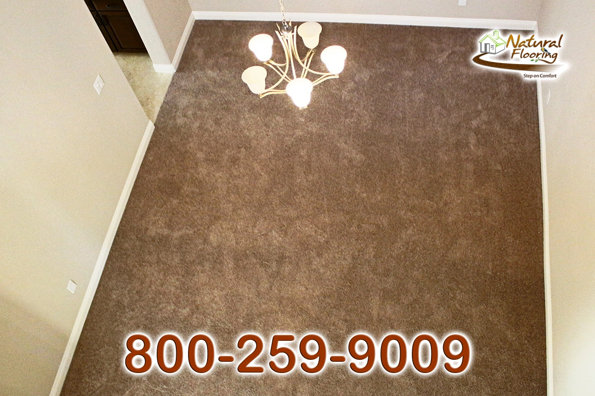 Full Court Tassel Carpet