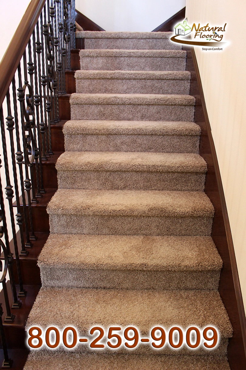 Full Court Tassel Carpet