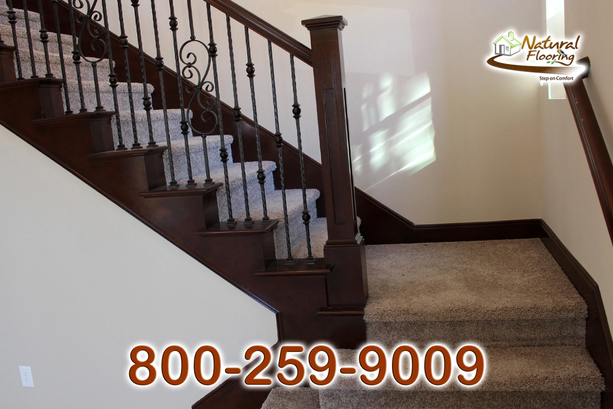 Full Court Tassel Carpet