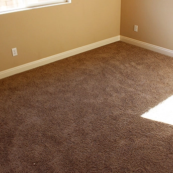 Full Court Tassel Carpet Shaw 3 504499
