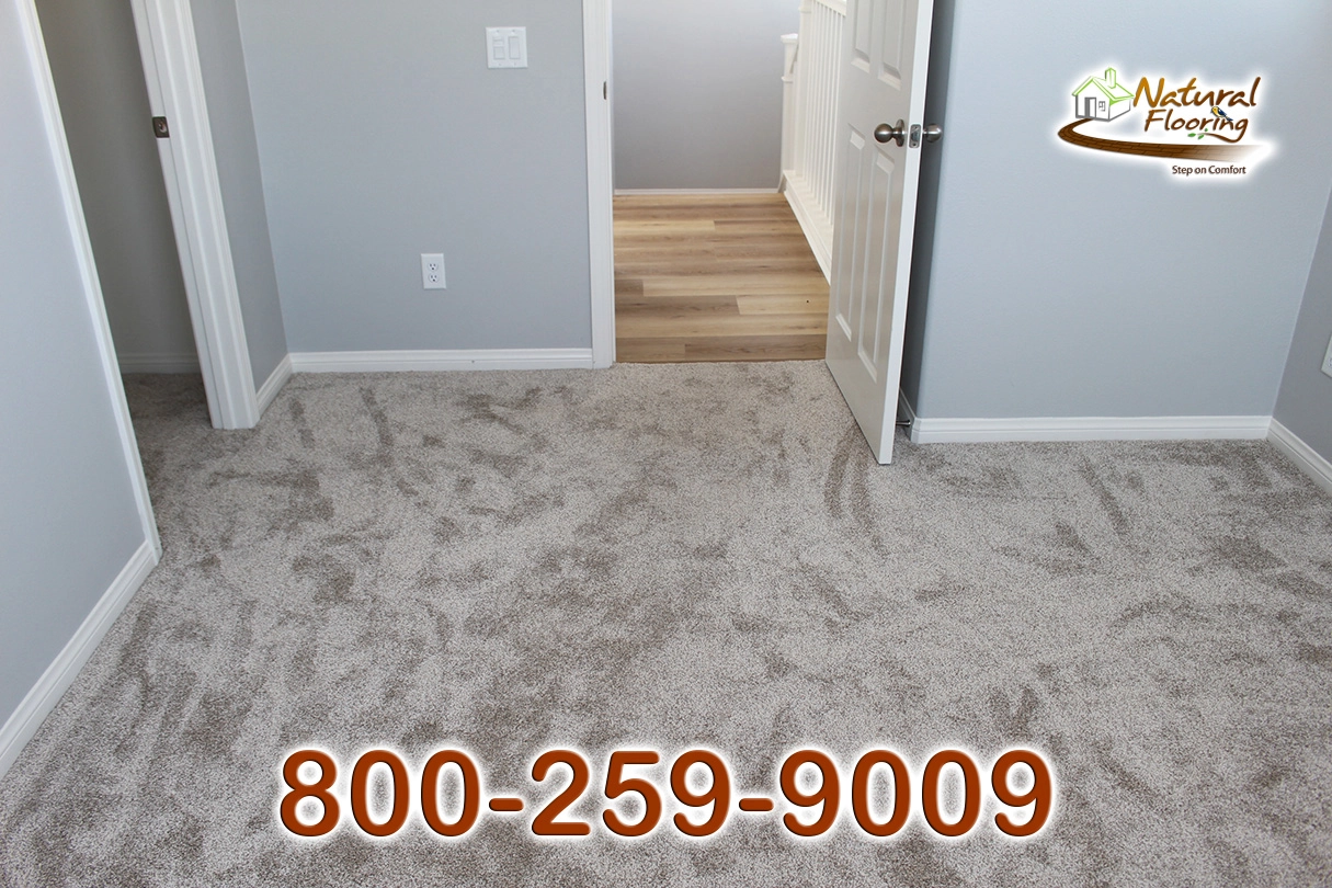Gulf Shore Carpet