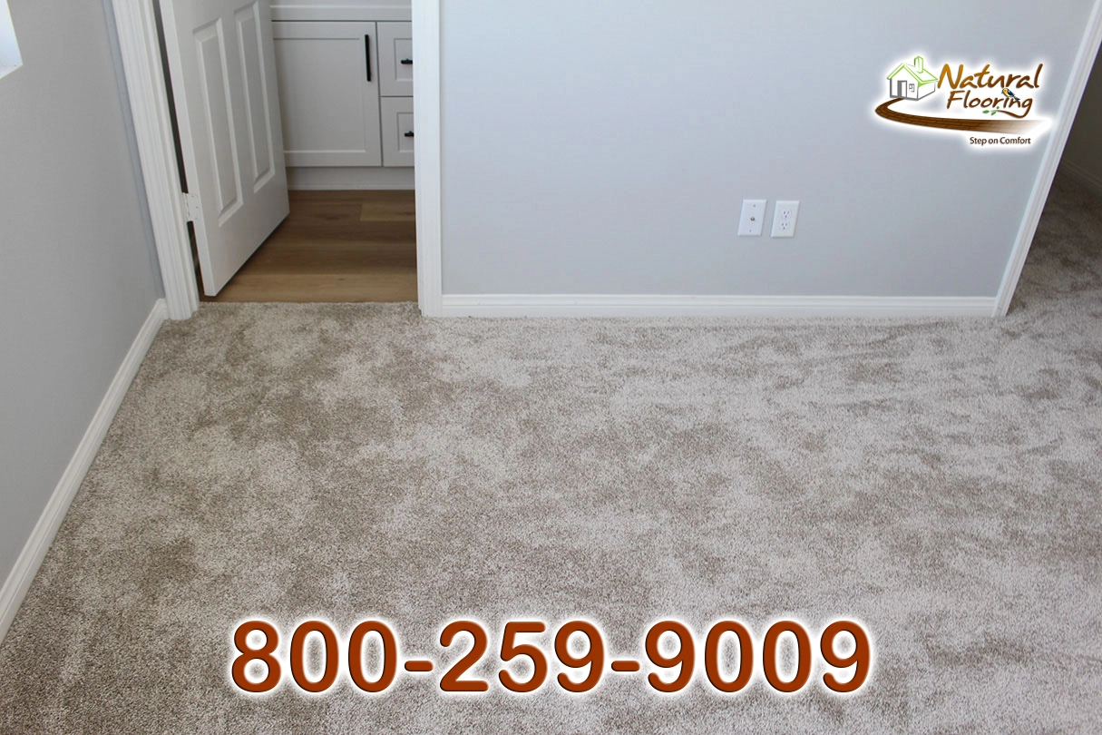 Gulf Shore Carpet