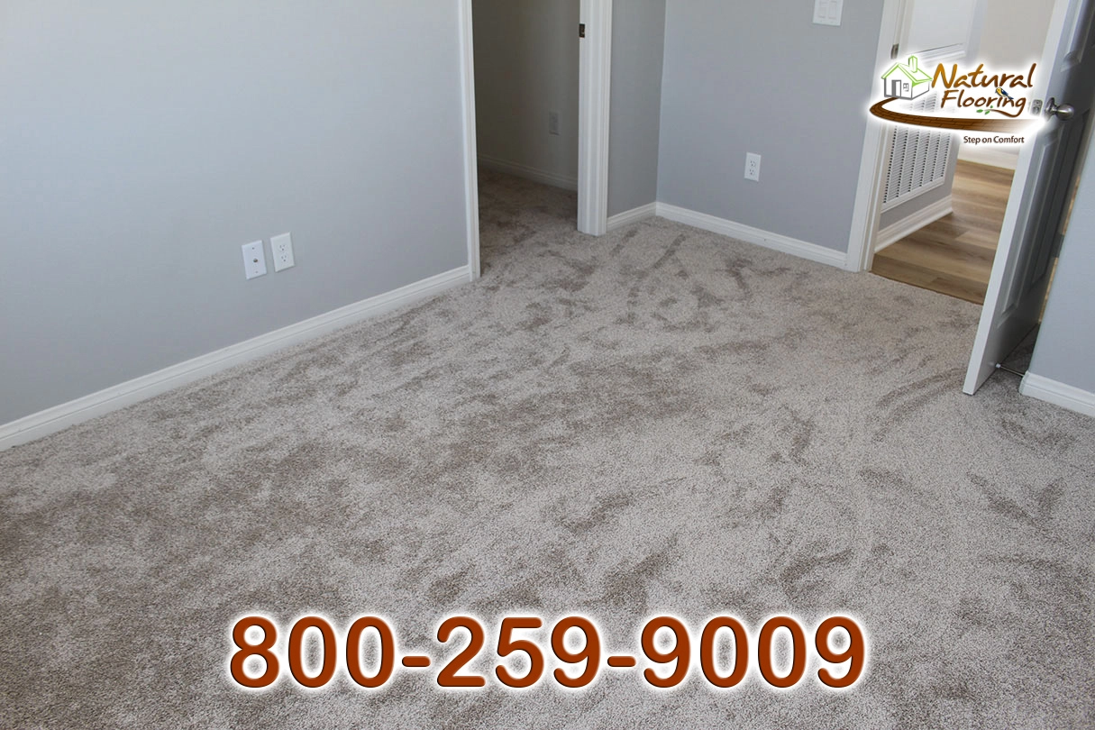 Gulf Shore Carpet