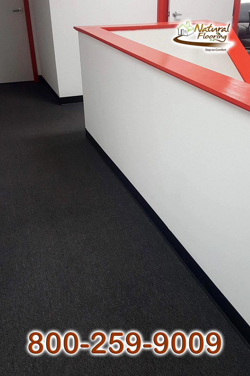 Jazz Pointe Jet Black Commercial Carpet
