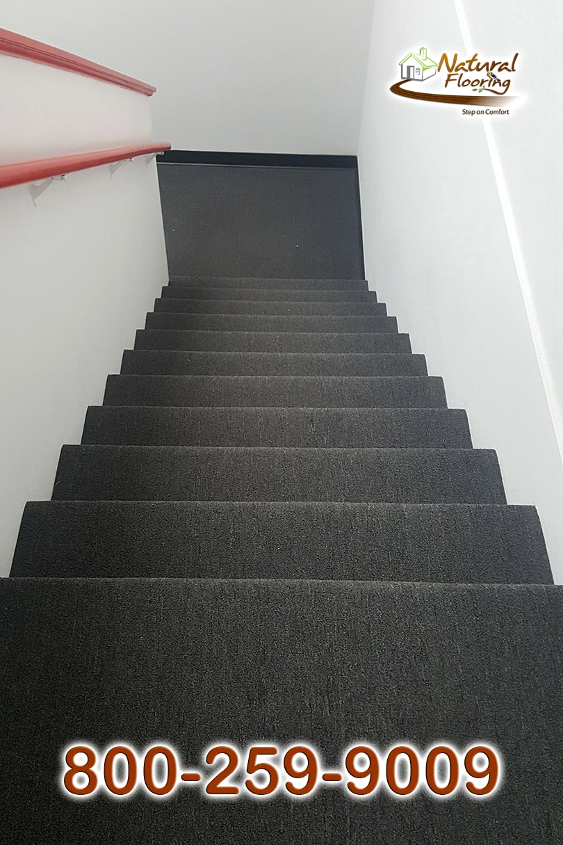 Jazz Pointe Jet Black Commercial Carpet