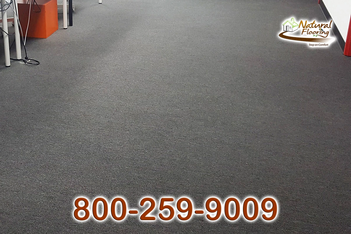 Jazz Pointe Jet Black Commercial Carpet