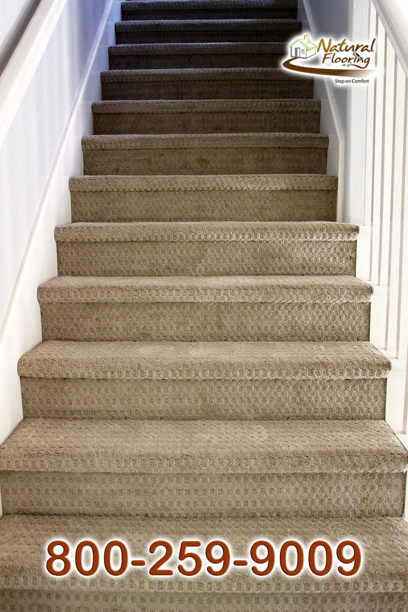Light Dusk Carpet