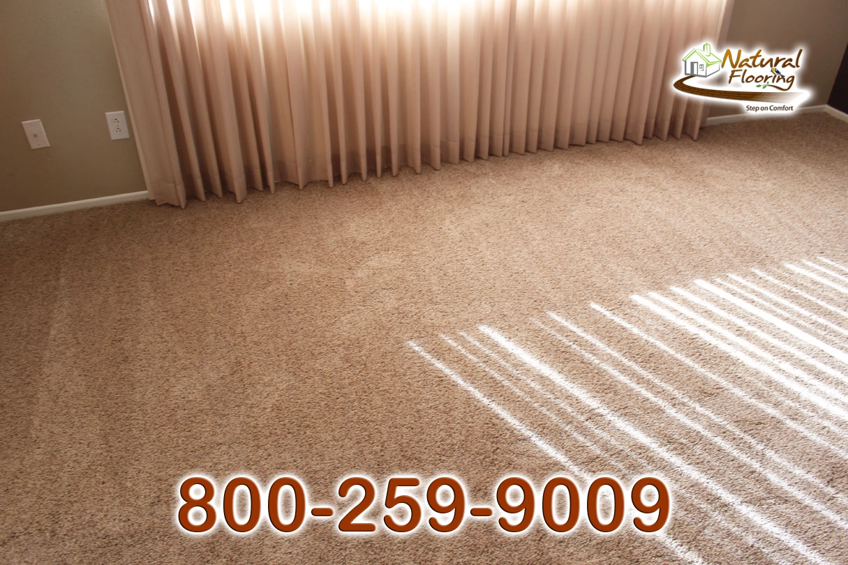 Silk Specier Run Carpet