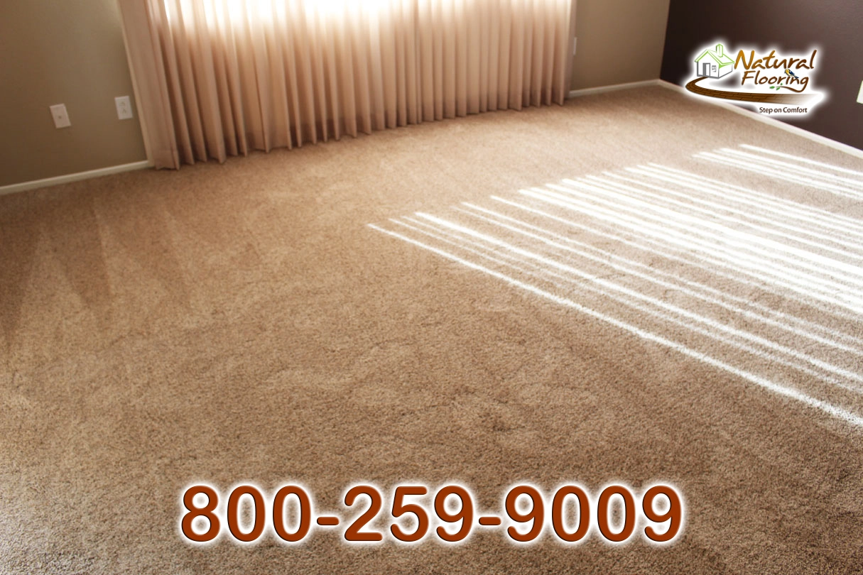 Silk Specier Run Carpet