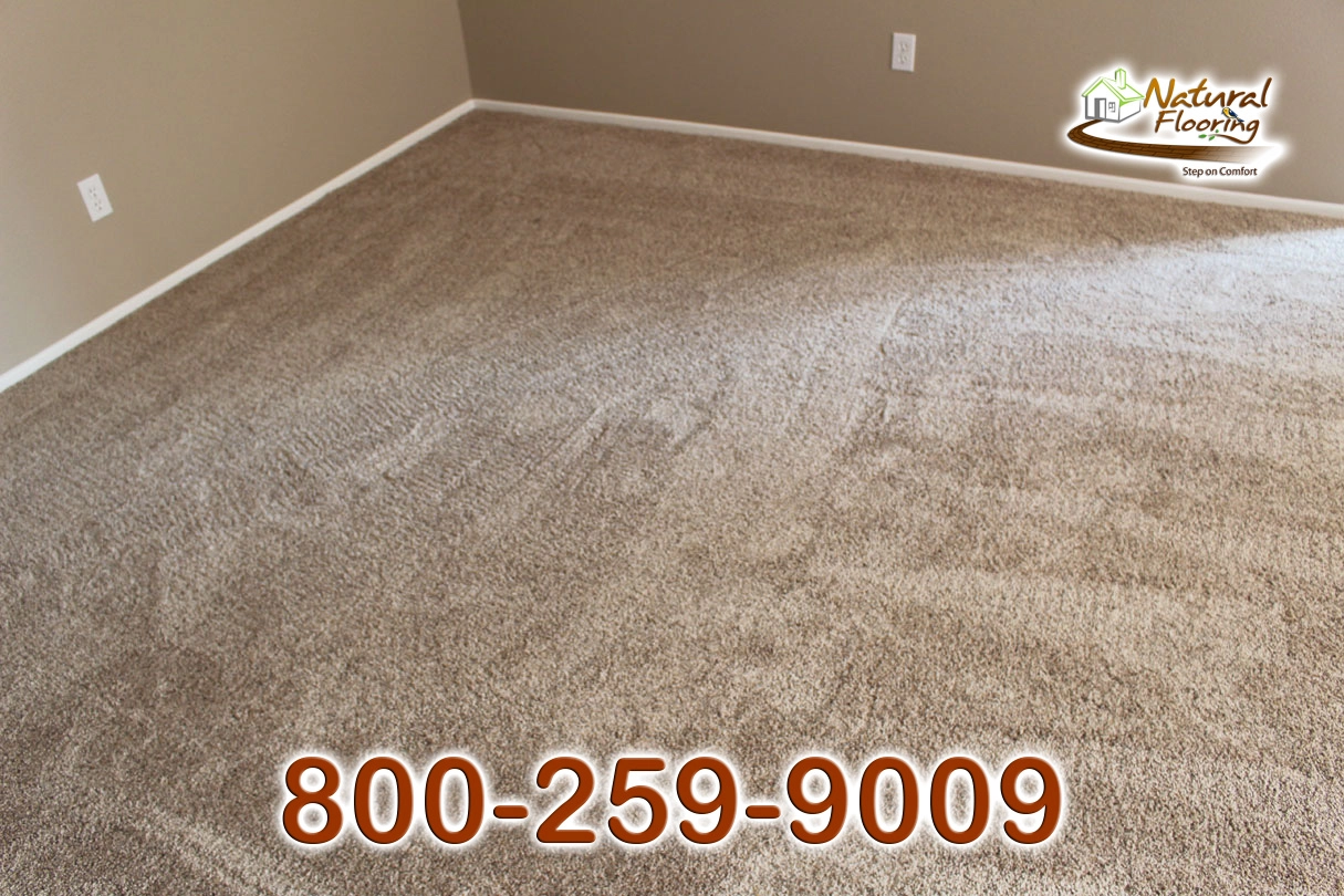 Silk Specier Run Carpet