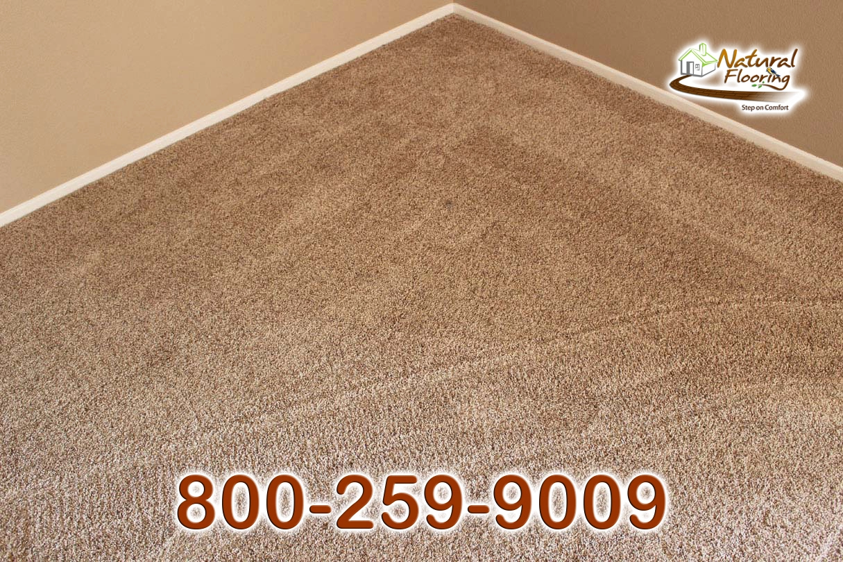 Silk Specier Run Carpet