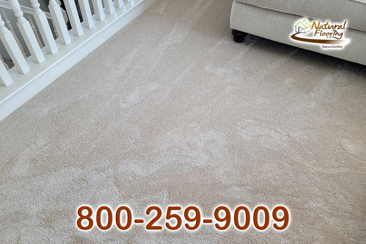 Blush Carpet