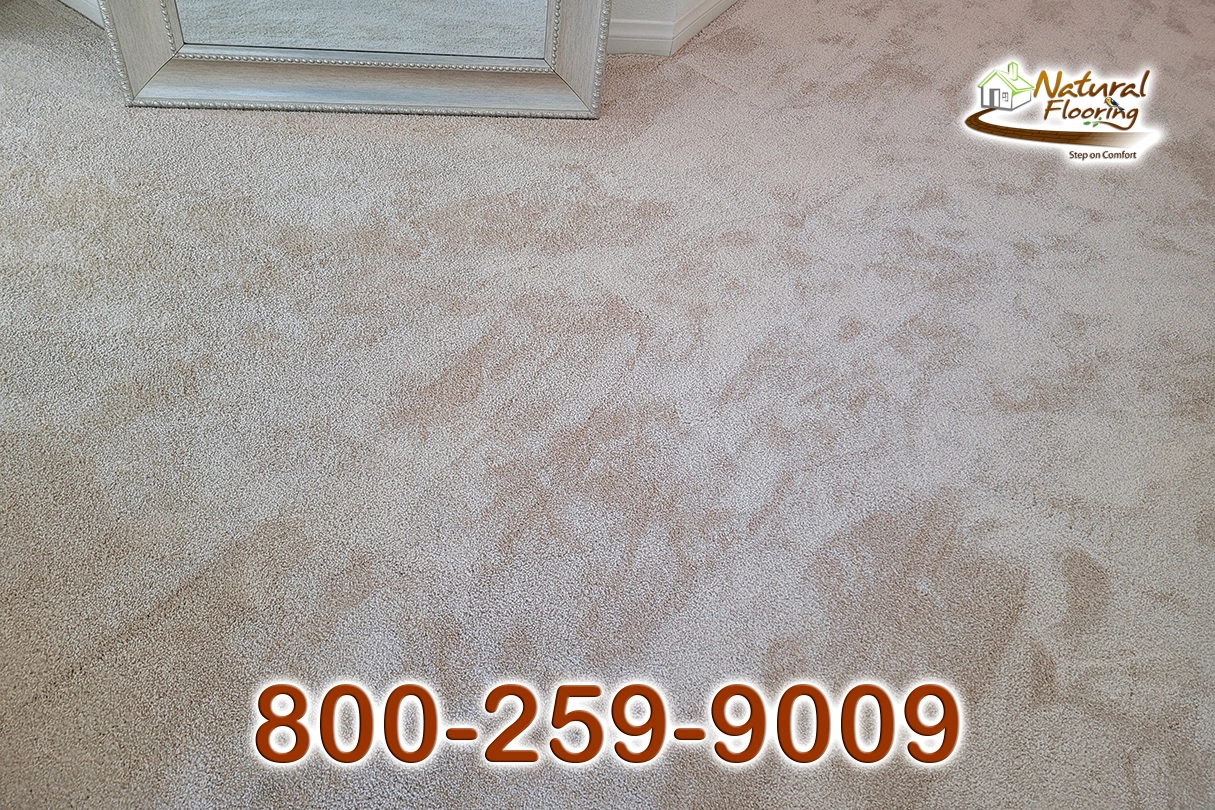 Blush Carpet