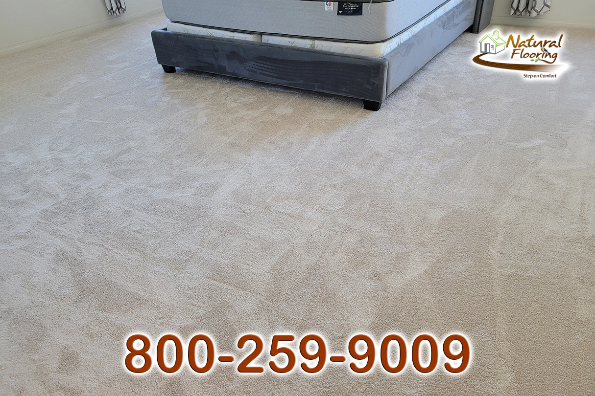 Blush Carpet