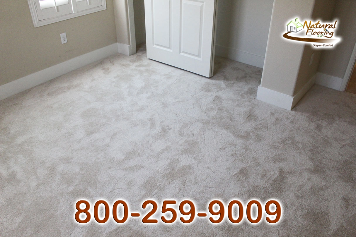 Blush Carpet
