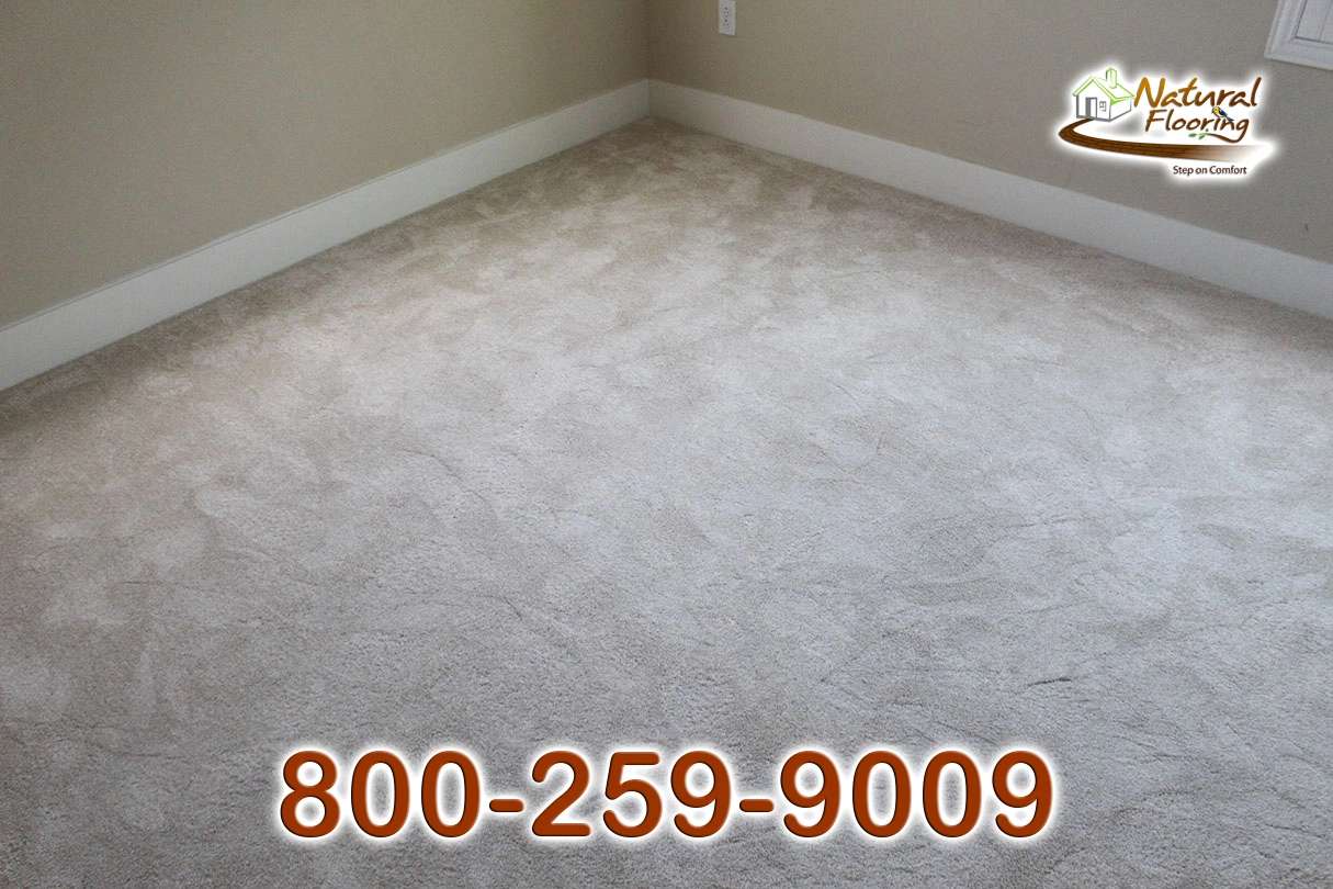 Blush Carpet