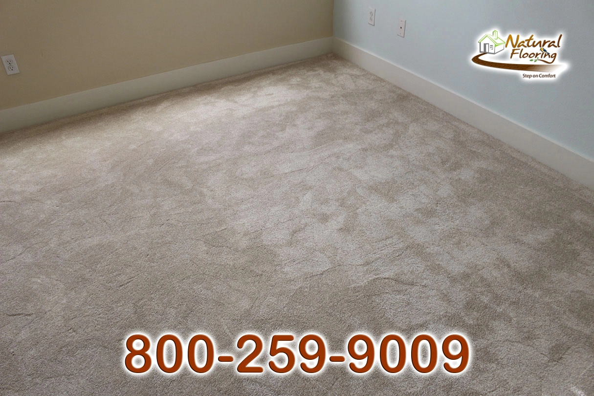 Blush Carpet