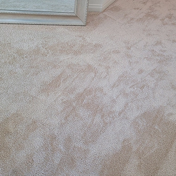 BlushCarpet MontaukCollectioon Dreamweaver 5