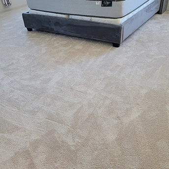 BlushCarpet MontaukCollectioon Dreamweaver 6