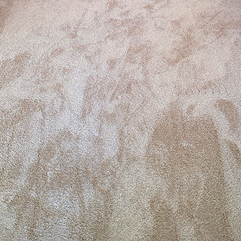 BlushCarpet MontaukCollectioon Dreamweaver 7