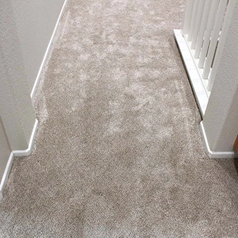Montauk Linen carpet Dreamweaver 1 967704