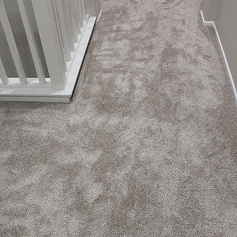 Montauk Linen carpet Dreamweaver 2 230446