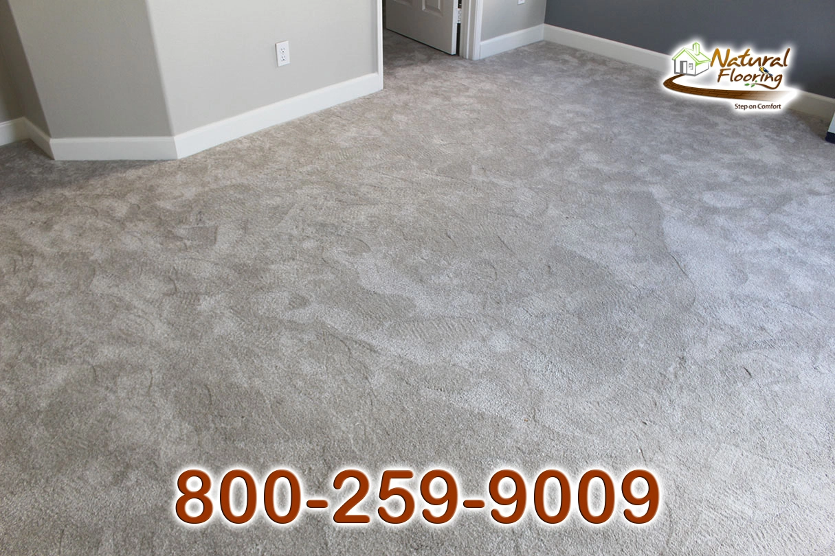 Silver Lining Carpet
