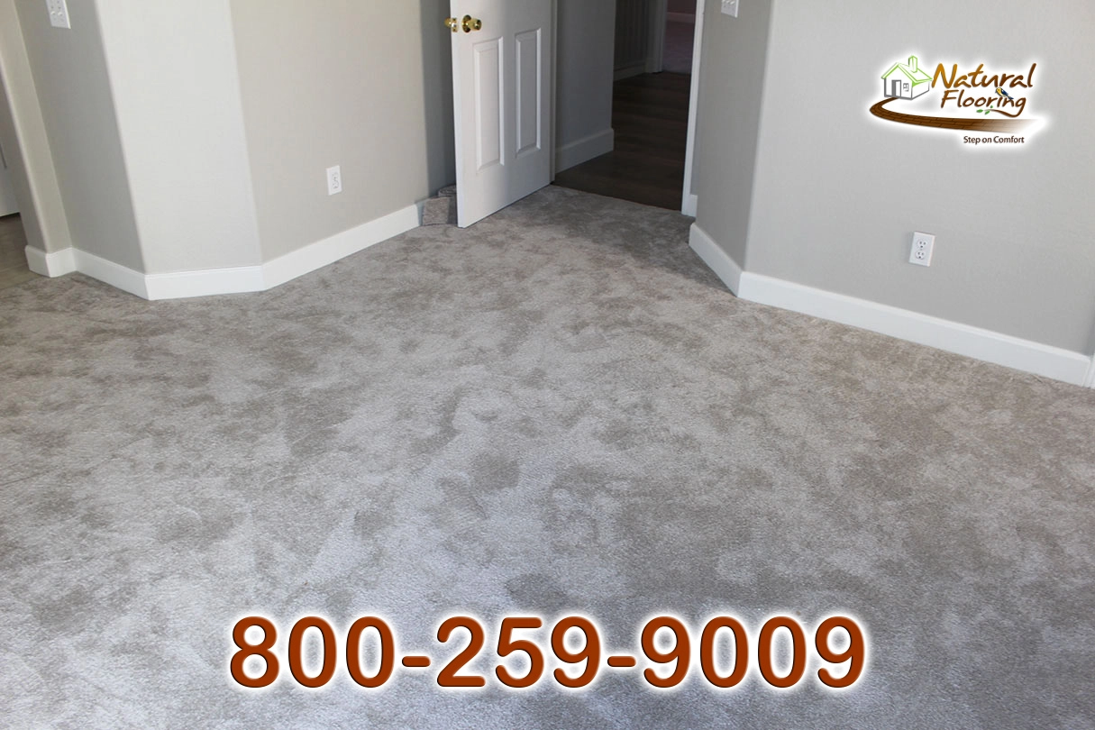 Silver Lining Carpet