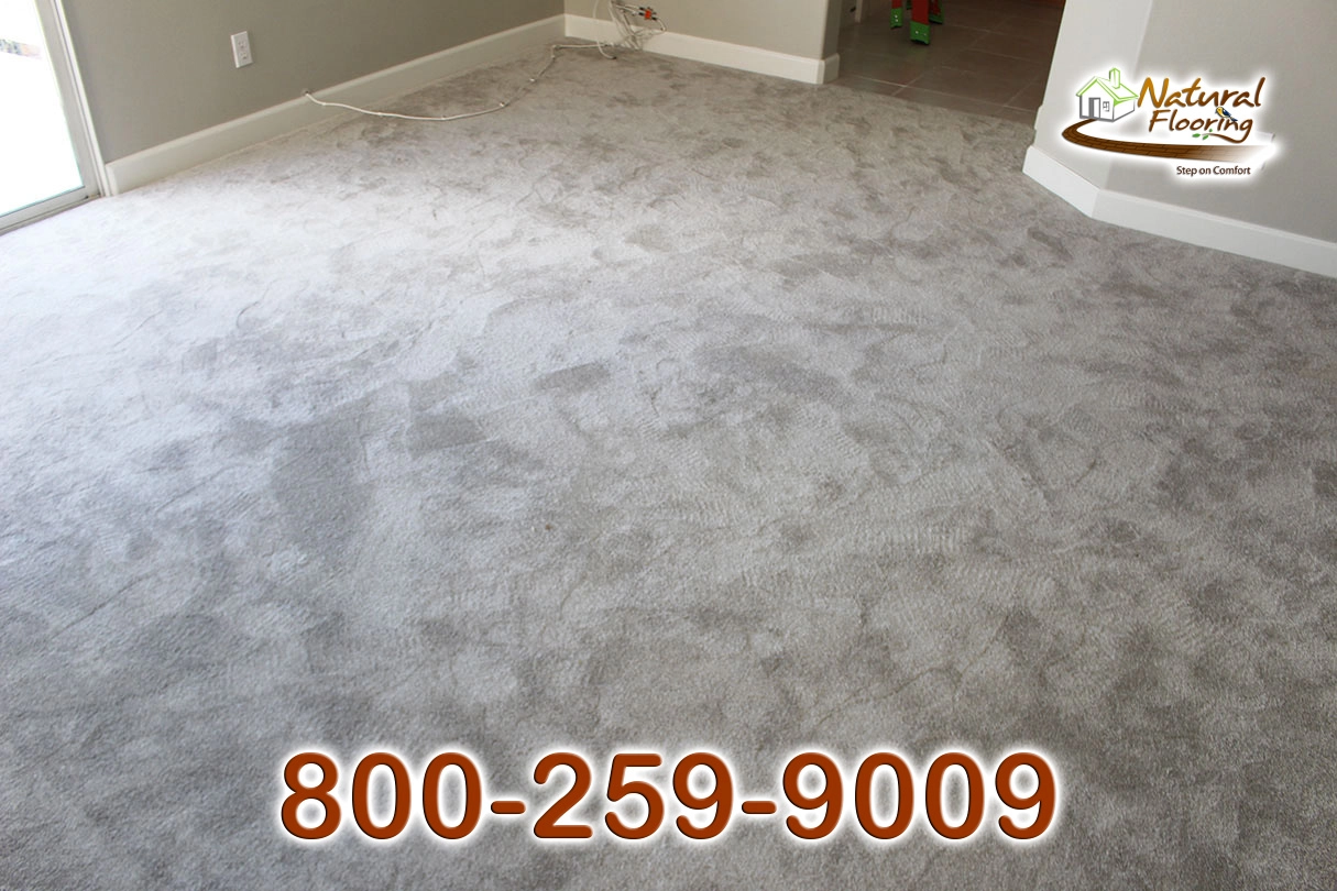 Silver Lining Carpet