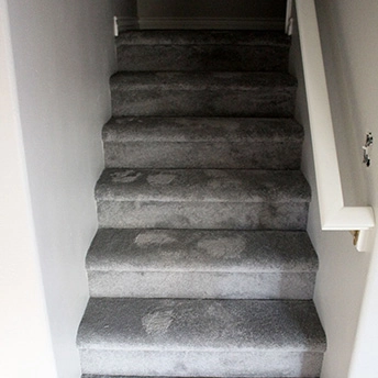 Montauk Smoke Carpet Dreamweaver 5