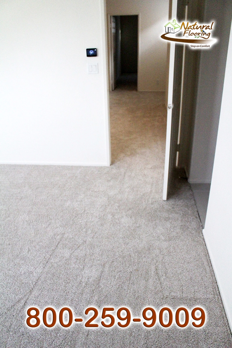 Aspen Glow Carpet