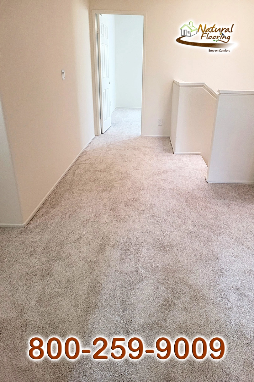 Aspen Glow Carpet