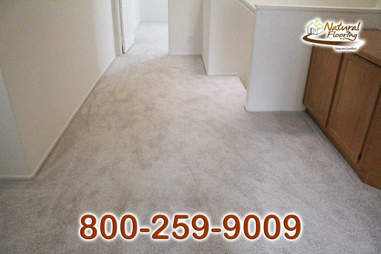 No Limit Aspen Glow Carpet Dreamweaver