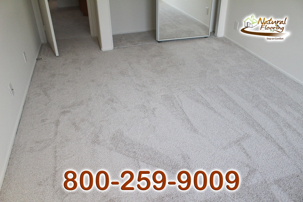 No Limit Aspen Glow Carpet Dreamweaver